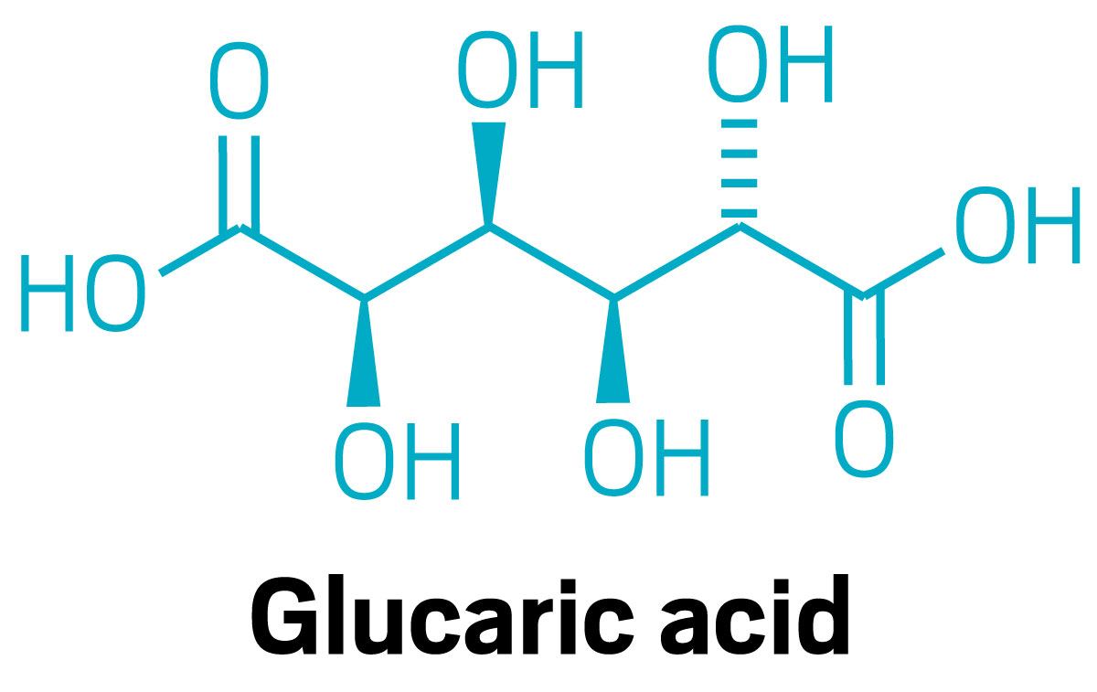 Glucaric Acid Market